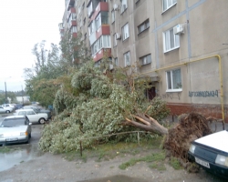  Жертвой урагана на Запорожье стал один человек