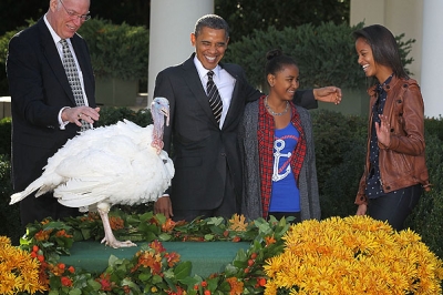 В день благодарения Обама по традиции "помиловал" двух индеек