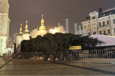 В  украинской столице начался процесс установки главной новогодней елки в государстве 