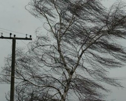 Непогода оставила без электричества 632 населенных пункта Украины