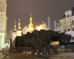 В  украинской столице начался процесс установки главной новогодней елки в государстве 