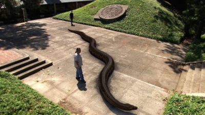 На острове Хортица была обнаружена гигантская змея. (Фото)