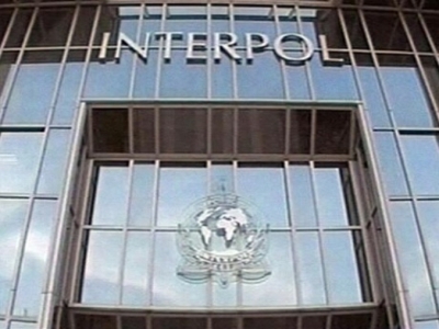 В Интерполе объяснили, почему не объявляют в розыск приближенных Януковича 