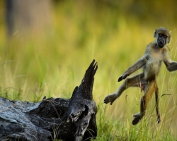 Подборка необыкновенных фото конкурса Traveler Photo Contest, от National Geographic.(Фото)