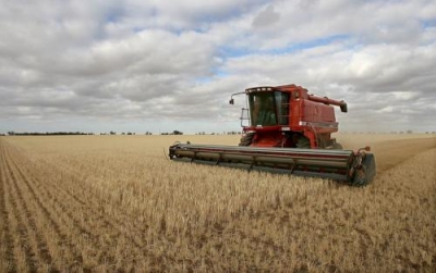 Беспошлинный ввоз агропродукции в ЕС поможет фермерам встать на ноги