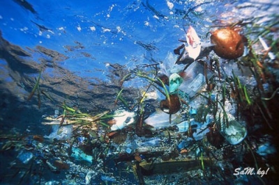 20 тонн мусора в Тихом океане приближается к США