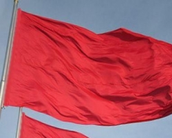 В Луганске красные флаги признали законными