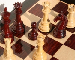 12-летний луганчанин поехал на Чемпионат мира по шахматам