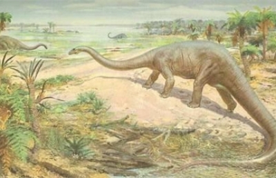 В Антарктиде раскопали останки динозавров