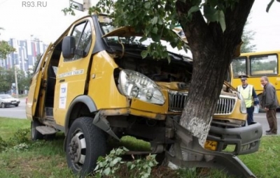 В Донецкой области маршрутка врезалась в дерево: 16 пострадавших