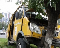 В Донецкой области маршрутка врезалась в дерево: 16 пострадавших