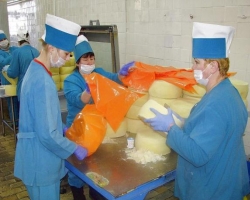 Роспотребнадзор увеличил число запрещеных для ввоза сырных производителей