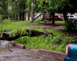 Из-за стихии в Луганске получили травмы 3 человека: из них двое детей