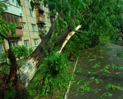 Сильный ураган пронесся над Черниговской областью