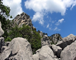 Туристы в Крыму попали под камнепад - есть погибшие