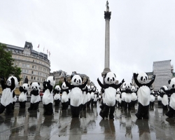 В Лондоне парад панд (видео)