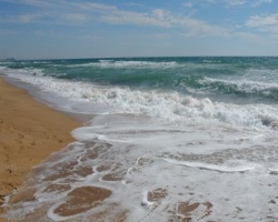 Вода в Черном море аномально теплая