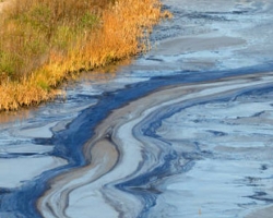 На Львовщине в реку вылилось 400 литров нефти