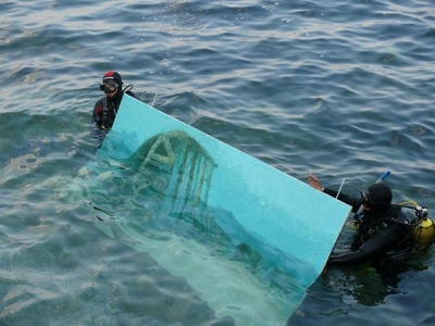 В Феодосии дадут мастер-класс подводной живописи