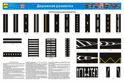 Российские «дорожники» нанесли разметку на мертвую кошку