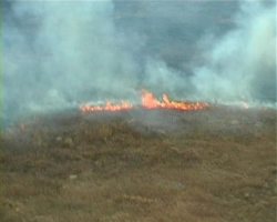 В Луганской области едва не сгорело село