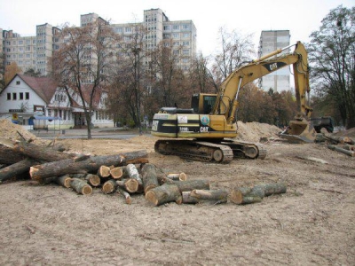 Во время выборов в Киеве вырубили  10 га леса