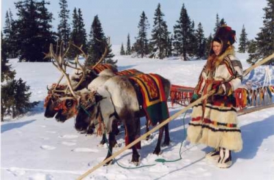 Ледники тают быстрее