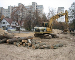 Во время выборов в Киеве вырубили  10 га леса