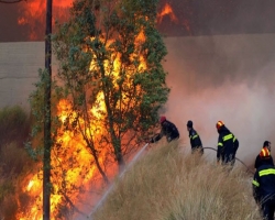 В Австралии горят леса