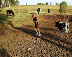 В Бразилии аномальная засуха